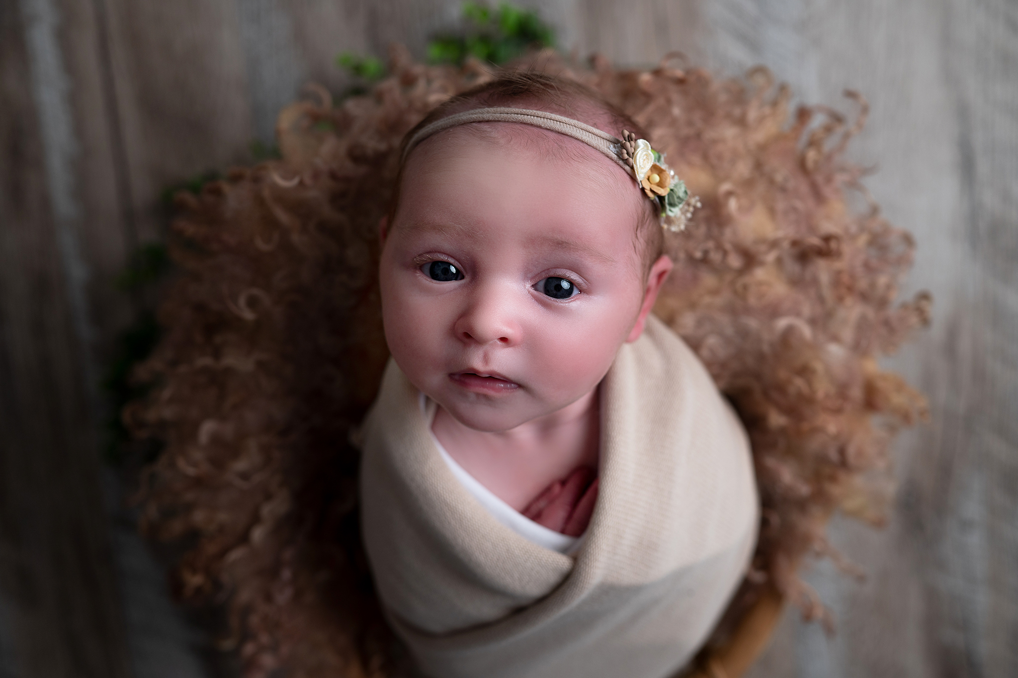 nouveau-né emmaillotée de beige regard photographe naissance Houilles photographe naissance la Défense photographe Houilles photographe Versailles photographe Rueil-Malmaison photographe Chatou photographe Yvelines photographe Ile-de-France